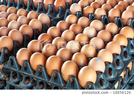 Eggs from chicken farm in the package 18856126