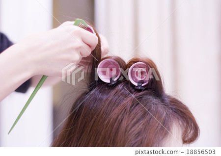 Curled roll 1 Curled roll 1 18856503
