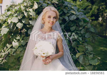 wedding sunshine day 18856561