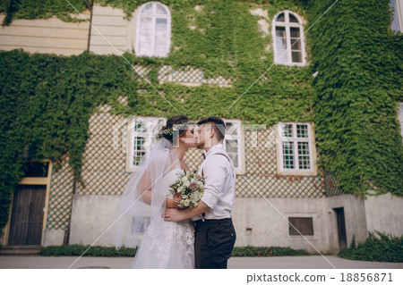weddig day HD weddig day HD 18856871