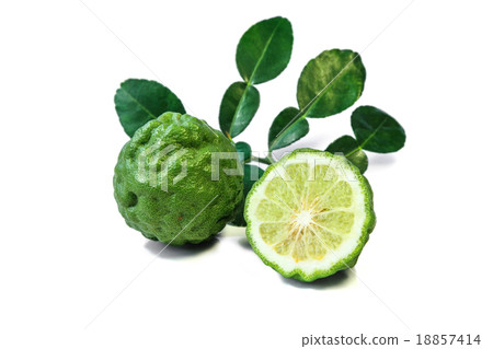 Fresh Kaffir lime and leaf, citrus fruit. 18857414