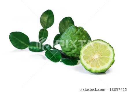 Kaffir lime, fruit used in Thai curry paste. Kaffir lime, fruit used in Thai curry paste. 18857415