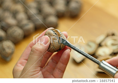 Walnut split Walnut split 18857541