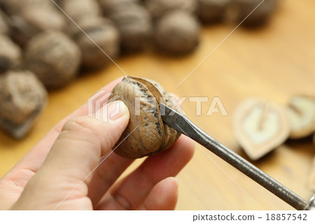 Walnut split 18857542