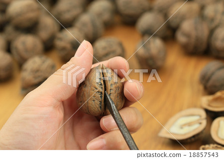 Walnut split 18857543