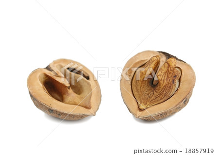 Cracked walnut 18857919