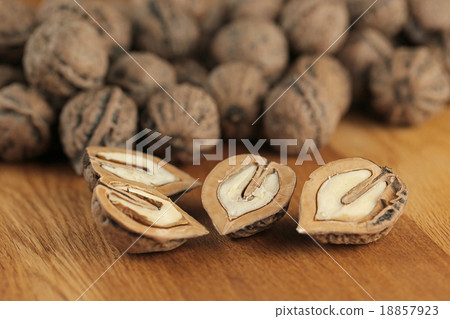 破碎的核桃 18857923