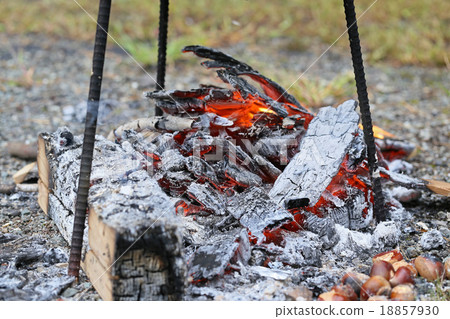 燃燒木炭 18857930