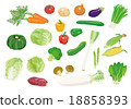 Various vegetables 18858393