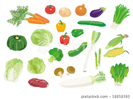 Various vegetables Various vegetables 18858393