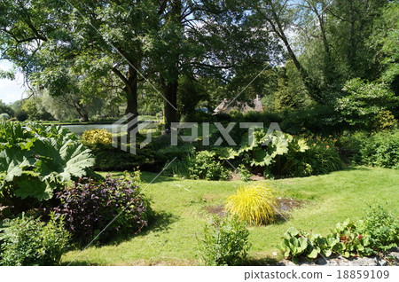 Bibury's garden 18859109