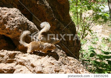 立陶宛國家公園 立陶宛國家公園 18859266