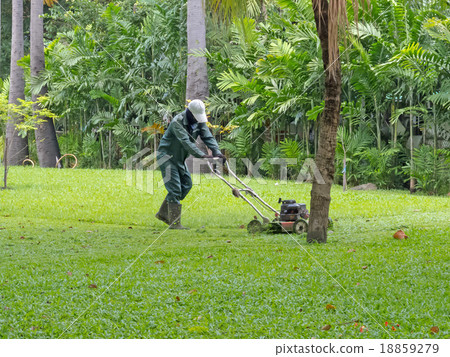 cutting grass cutting grass 18859279