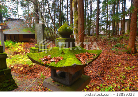 青苔燈籠 青苔燈籠 18859328