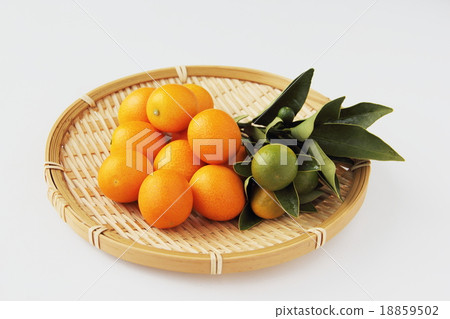 Kumquat Kumquat 18859502