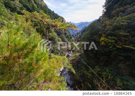 從高知縣Nodoyogawa鎮的Nakatsu Gorge Valley天文台景觀 從高知縣Nodoyogawa鎮的Nakatsu Gorge Valley天文台景觀 18864165