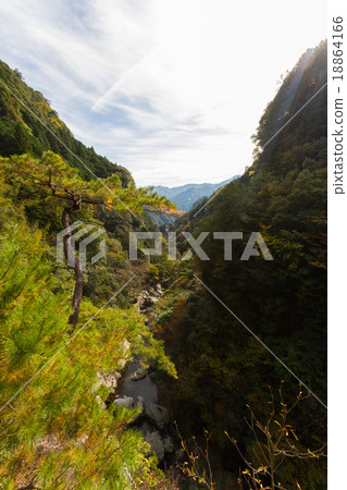 從高知縣Nodoyogawa鎮的Nakatsu Gorge Valley天文台景觀 18864166