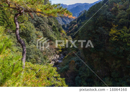 從高知縣Nodoyogawa鎮的Nakatsu Gorge Valley天文台景觀 從高知縣Nodoyogawa鎮的Nakatsu Gorge Valley天文台景觀 18864168