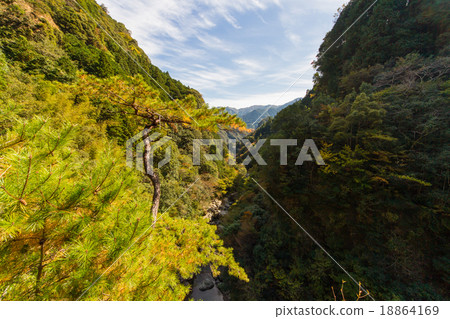 從高知縣Nodoyogawa鎮的Nakatsu Gorge Valley天文台景觀 從高知縣Nodoyogawa鎮的Nakatsu Gorge Valley天文台景觀 18864169