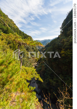 從高知縣Nodoyogawa鎮的Nakatsu Gorge Valley天文台景觀 從高知縣Nodoyogawa鎮的Nakatsu Gorge Valley天文台景觀 18864170