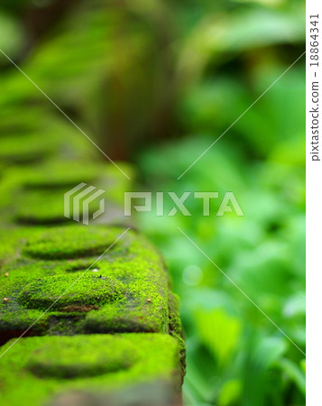 old pond bricks with green moss coverage cold mood 18864341