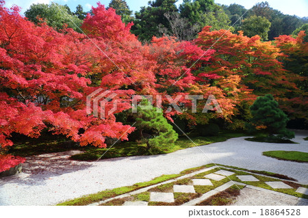 Tensen-an in Kyoto Autumn 18864528