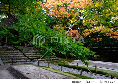 The autumnal leaves gradation and sandpit of Honen-inan (2) 18865532
