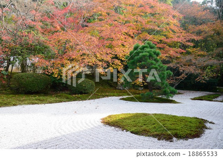 Autumn leaves and katsuyama 18865533