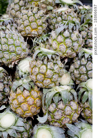 Close up mini pineapple background texture. Close up mini pineapple background texture. 18866697