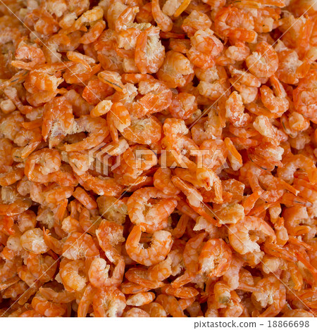 dried shrimp background dried shrimp background 18866698