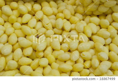Ginkgo nuts background texture 18867499