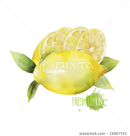 Watercolor lemon vignette 18867591