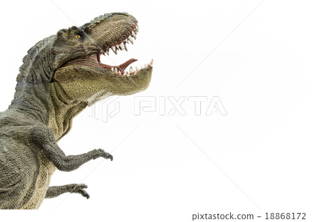 驚訝的霸王龍 驚訝的霸王龍 18868172