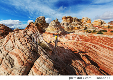 White pocket White pocket 18868347