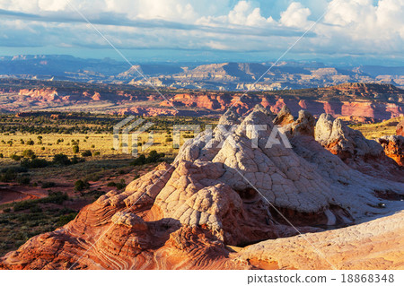 White pocket White pocket 18868348