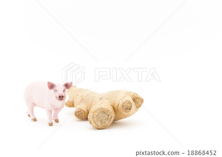 Pork and ginger 18868452