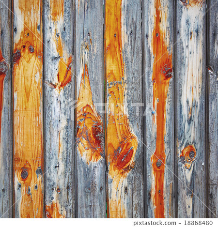 Wooden grunge texture Wooden grunge texture 18868480