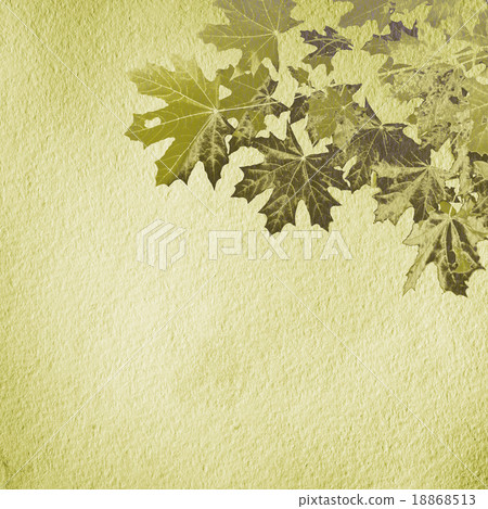 Grunge paper texture. abstract nature background Grunge paper texture. abstract nature background 18868513