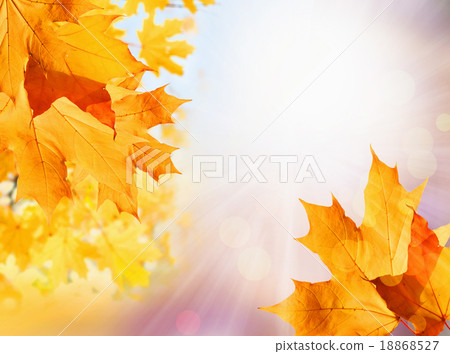 Autumn background 18868527