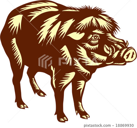 Philippine Warty Pig Woodcut 18869930