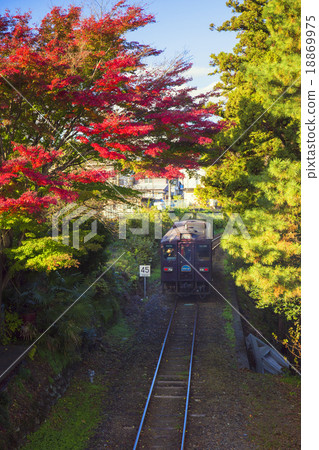 秋葉和Watasage谷鐵路 18869975