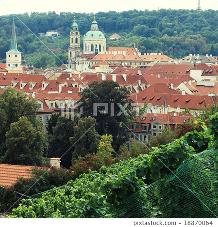 Vineyard of Prague 18870064