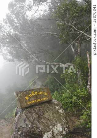 The Khao Yai National Park in Thailand The Khao Yai National Park in Thailand 18870841