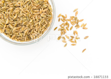 Freekeh: Freeka (Fleeke) Freekeh: Freeka (Fleeke) 18871133