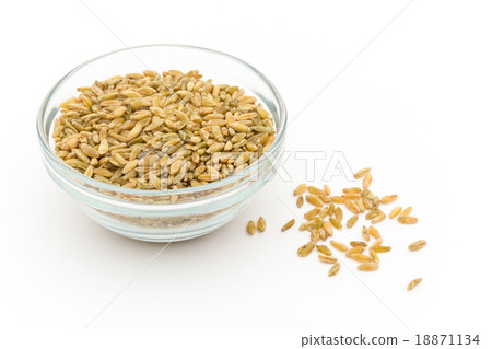 Freekeh: Freeka (Fleeke) Freekeh: Freeka (Fleeke) 18871134