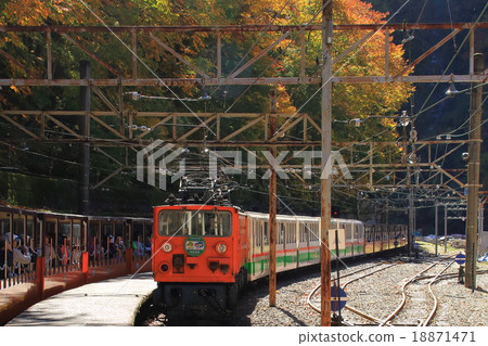 Kurobe Canyon of autumn leaves 18871471