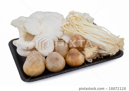 mushroom in foam pack isolated on white background mushroom in foam pack isolated on white background 18872128