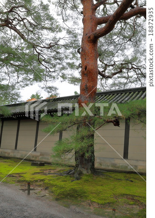 京都御所 18872935