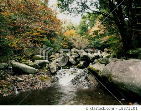 Tsue River Stream 18873101