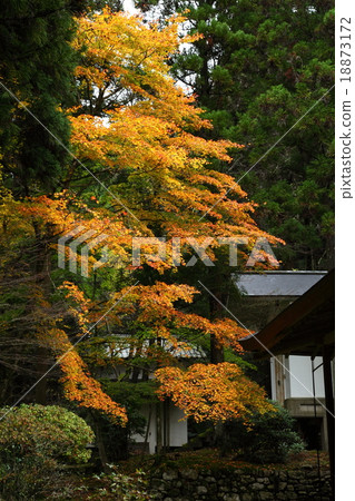 Late Autumn Welcoming House Late Autumn Welcoming House 18873172
